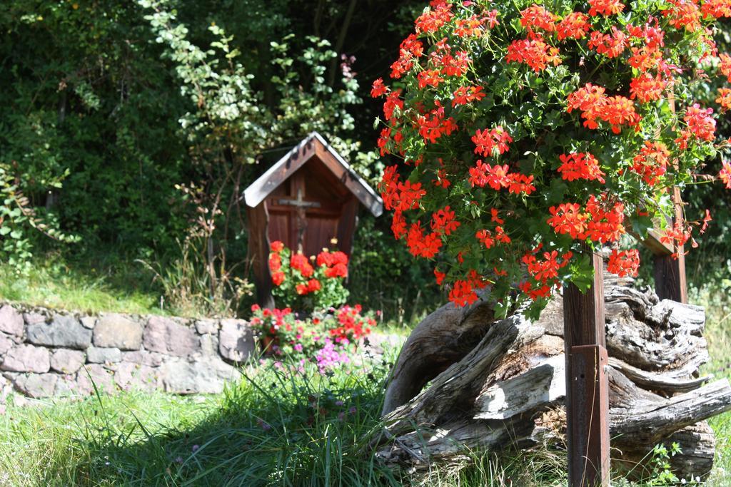 Ferienbauernhof Masunerhof Fie allo Sciliar Luaran gambar