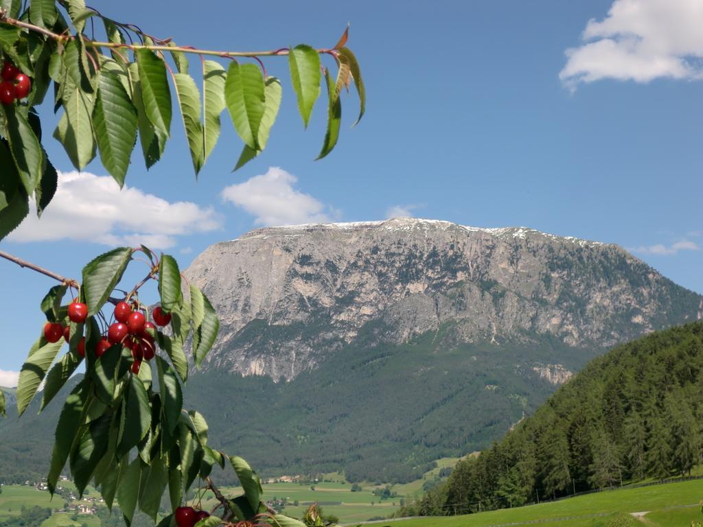 Ferienbauernhof Masunerhof Fie allo Sciliar Bilik gambar